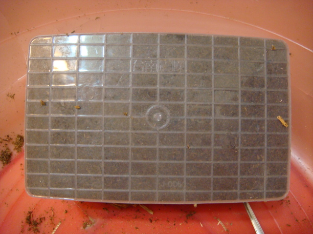 按此在新視窗瀏覽圖片