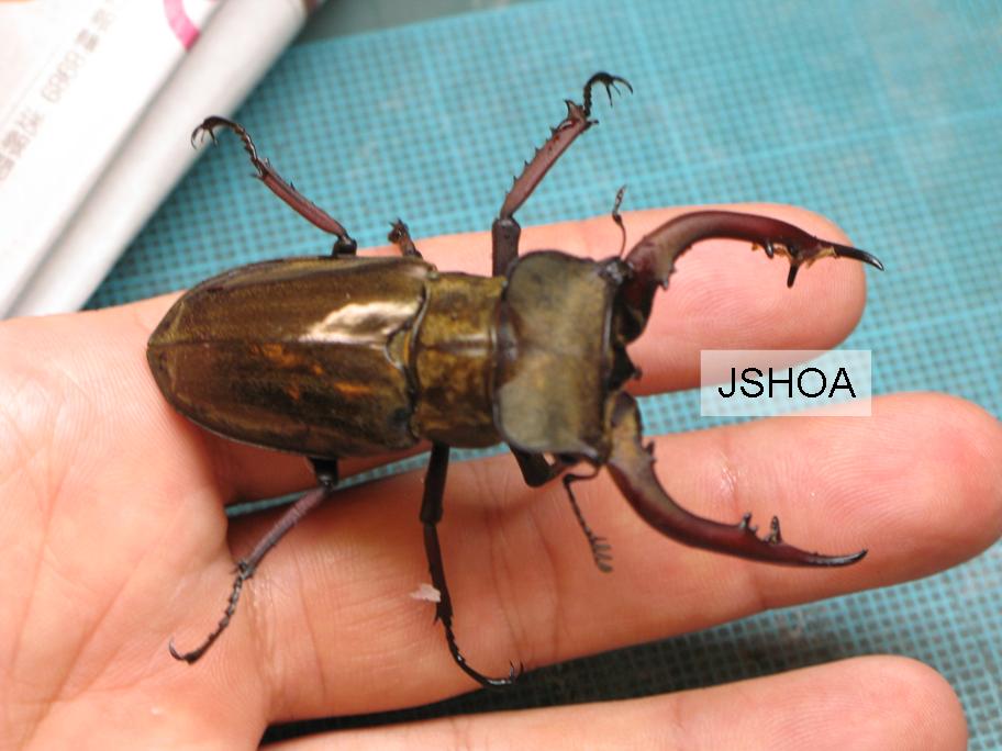 按此在新視窗瀏覽圖片