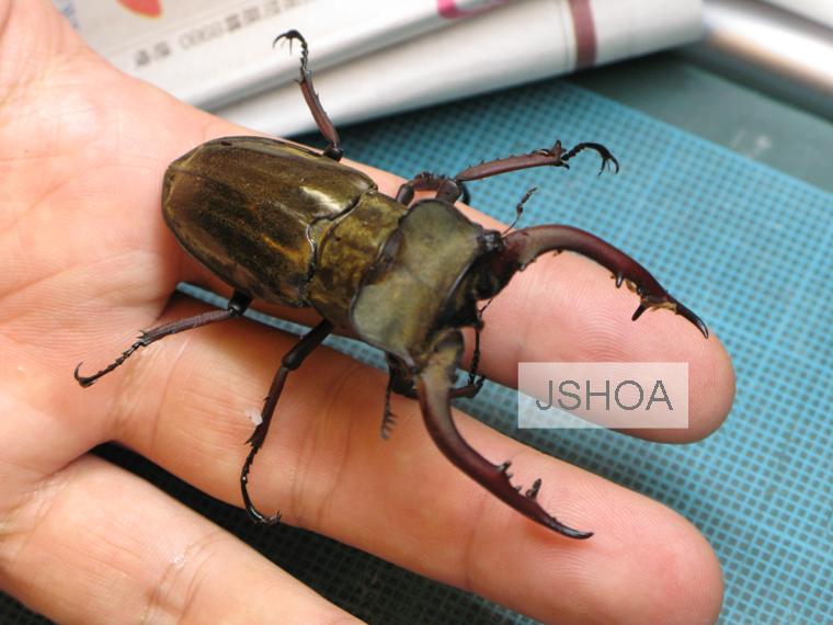 按此在新視窗瀏覽圖片