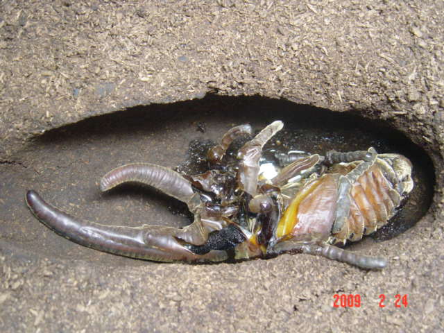 «ö¦¹¦b·sµøµ¡ÂsÄý¹Ï¤ù