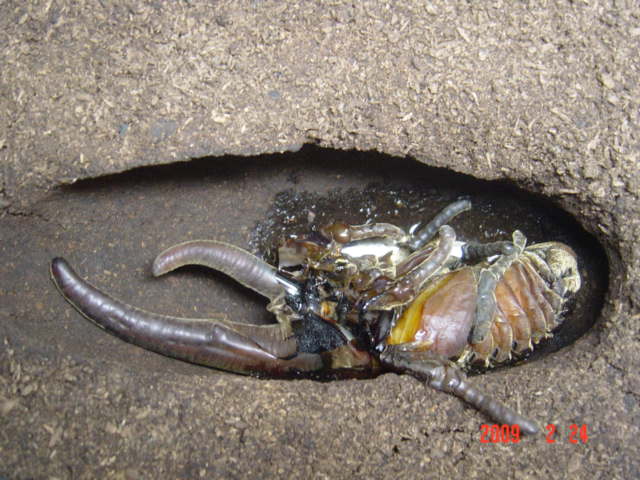 «ö¦¹¦b·sµøµ¡ÂsÄý¹Ï¤ù