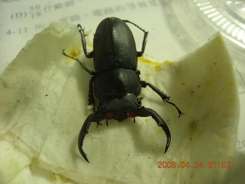 按此在新視窗瀏覽圖片