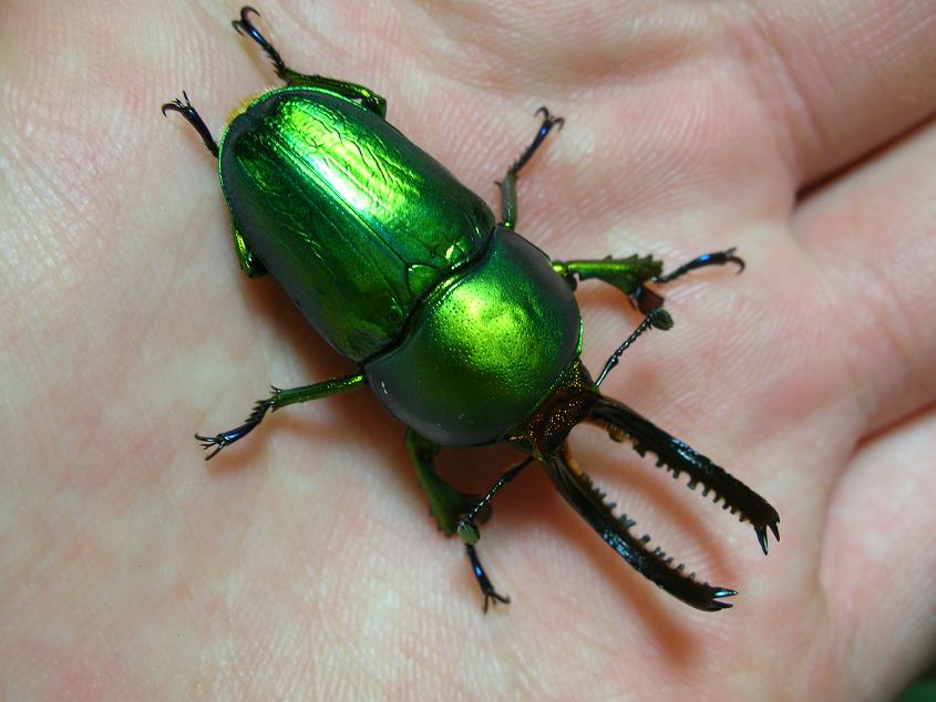 按此在新視窗瀏覽圖片