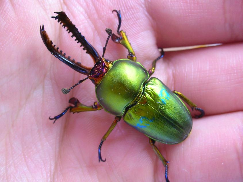 按此在新視窗瀏覽圖片