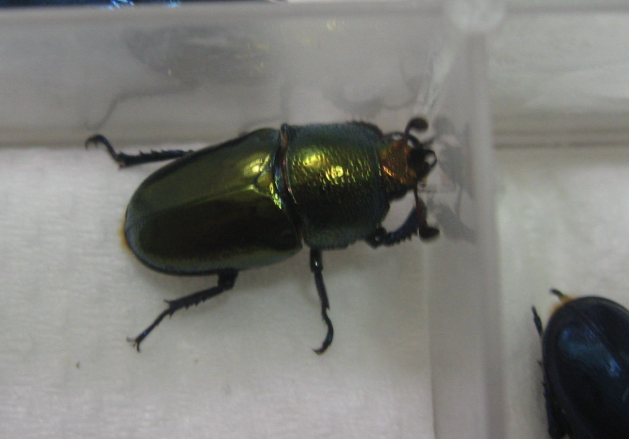 按此在新視窗瀏覽圖片