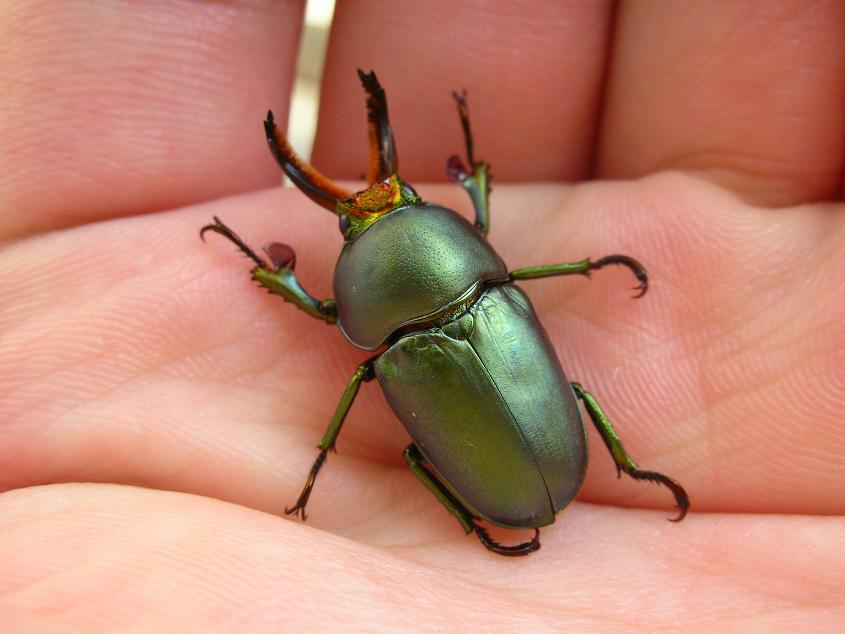 按此在新視窗瀏覽圖片