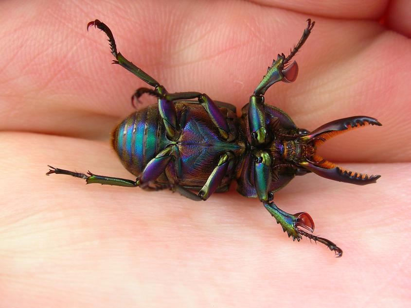 按此在新視窗瀏覽圖片