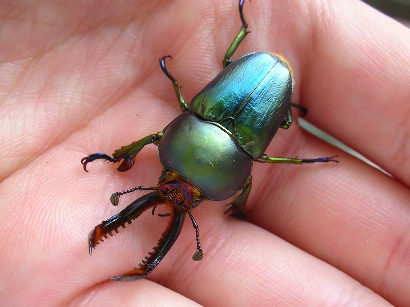 按此在新視窗瀏覽圖片