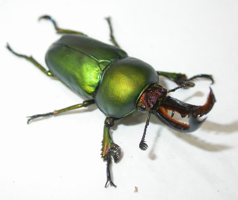 按此在新視窗瀏覽圖片