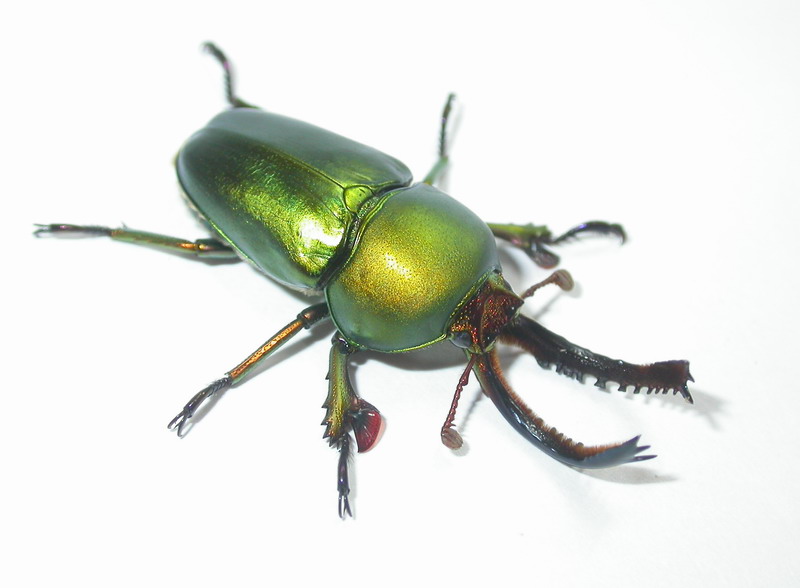 按此在新視窗瀏覽圖片