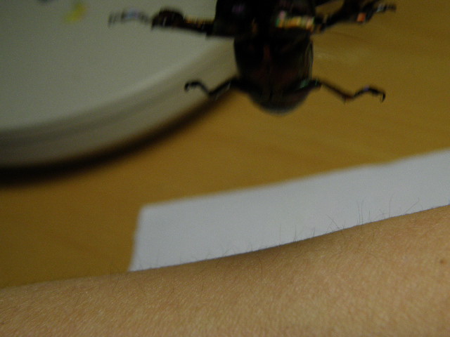 按此在新視窗瀏覽圖片