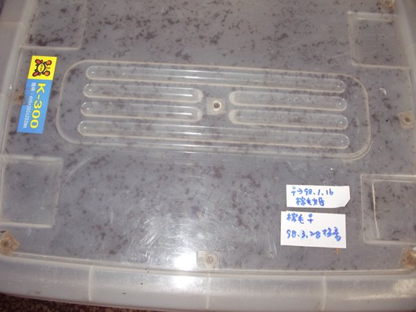 按此在新視窗瀏覽圖片