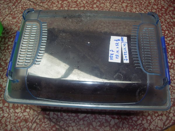 按此在新視窗瀏覽圖片