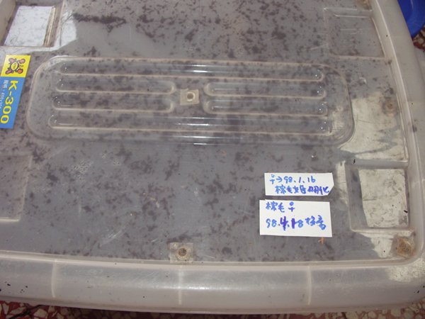 按此在新視窗瀏覽圖片