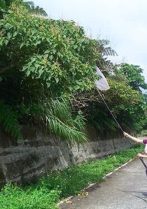 按此在新視窗瀏覽圖片