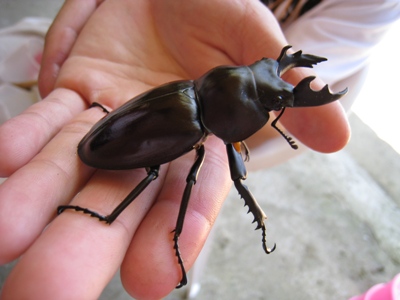 按此在新視窗瀏覽圖片