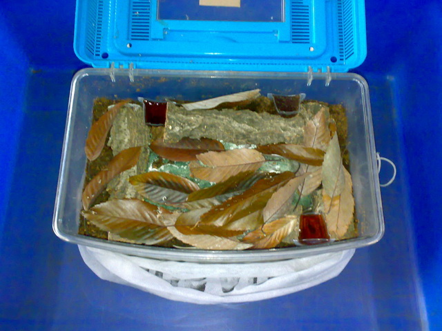 按此在新視窗瀏覽圖片