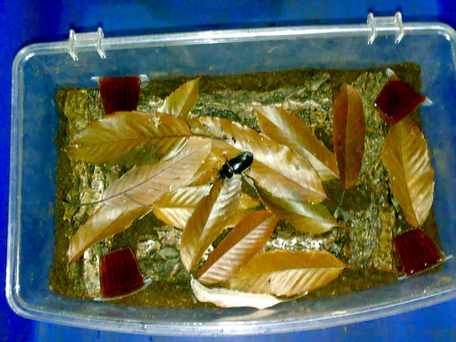 按此在新視窗瀏覽圖片