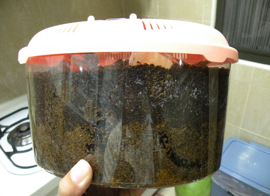 按此在新視窗瀏覽圖片