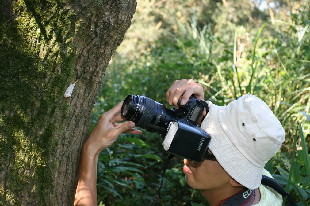 按此在新視窗瀏覽圖片