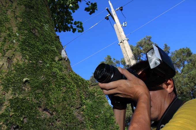 按此在新視窗瀏覽圖片