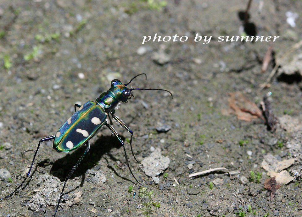 按此在新視窗瀏覽圖片