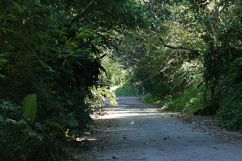 按此在新視窗瀏覽圖片