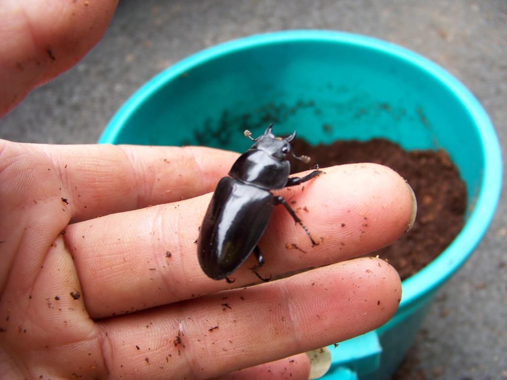 按此在新視窗瀏覽圖片