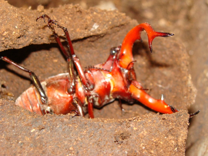 按此在新視窗瀏覽圖片