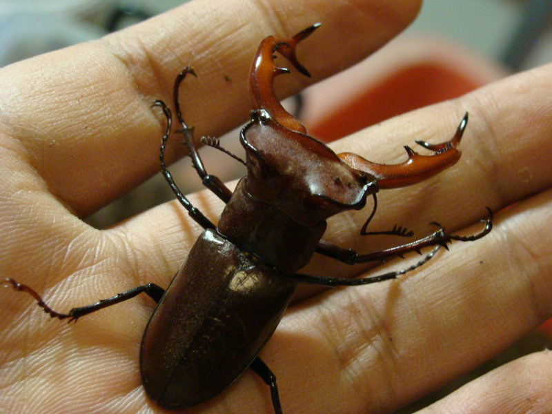 按此在新視窗瀏覽圖片