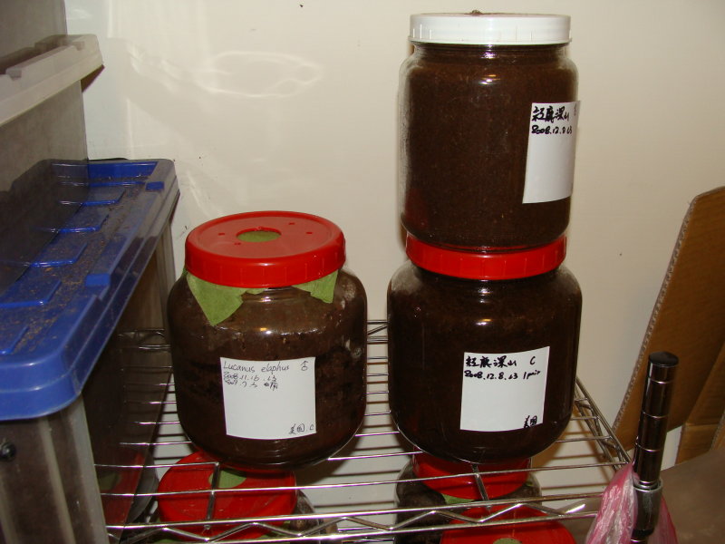 按此在新視窗瀏覽圖片