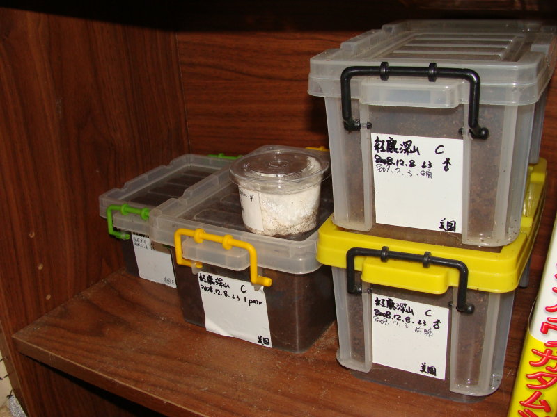 按此在新視窗瀏覽圖片