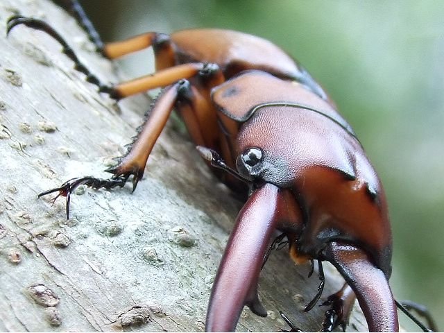 按此在新視窗瀏覽圖片