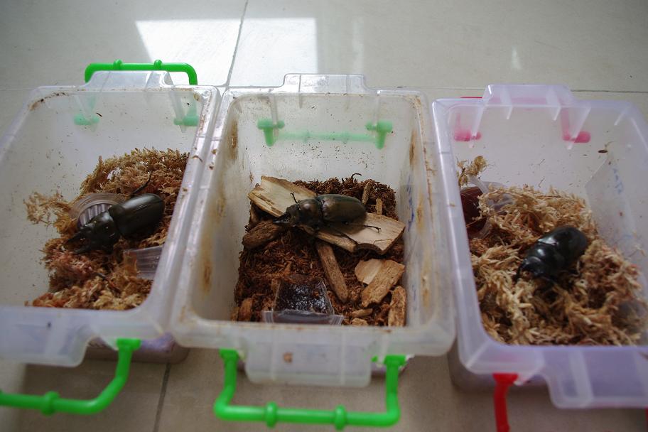 按此在新視窗瀏覽圖片