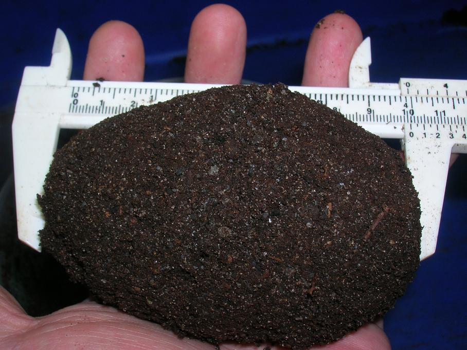 «ö¦¹¦b·sµøµ¡ÂsÄý¹Ï¤ù