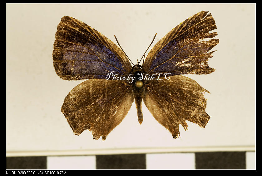 按此在新視窗瀏覽圖片