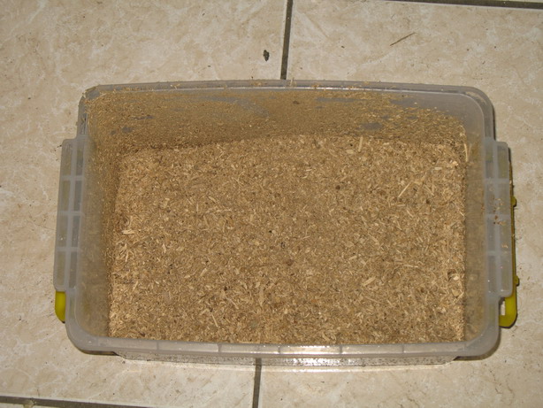 «ö¦¹¦b·sµøµ¡ÂsÄý¹Ï¤ù