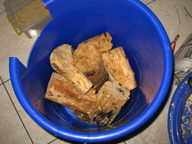 «ö¦¹¦b·sµøµ¡ÂsÄý¹Ï¤ù