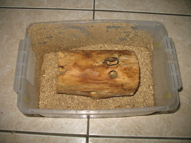 «ö¦¹¦b·sµøµ¡ÂsÄý¹Ï¤ù