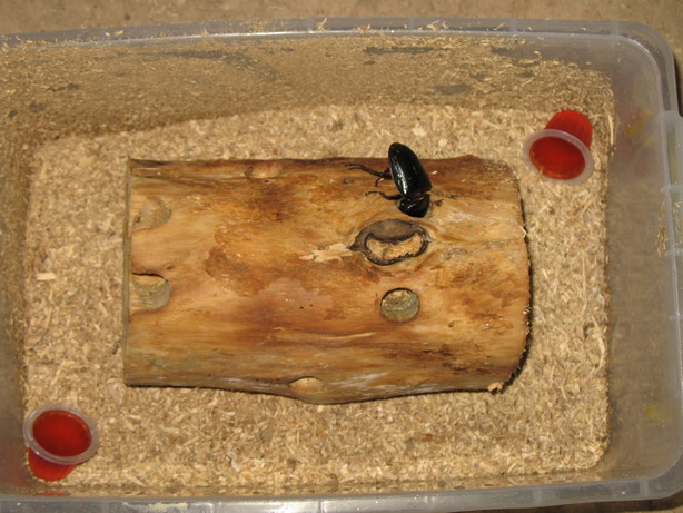 «ö¦¹¦b·sµøµ¡ÂsÄý¹Ï¤ù