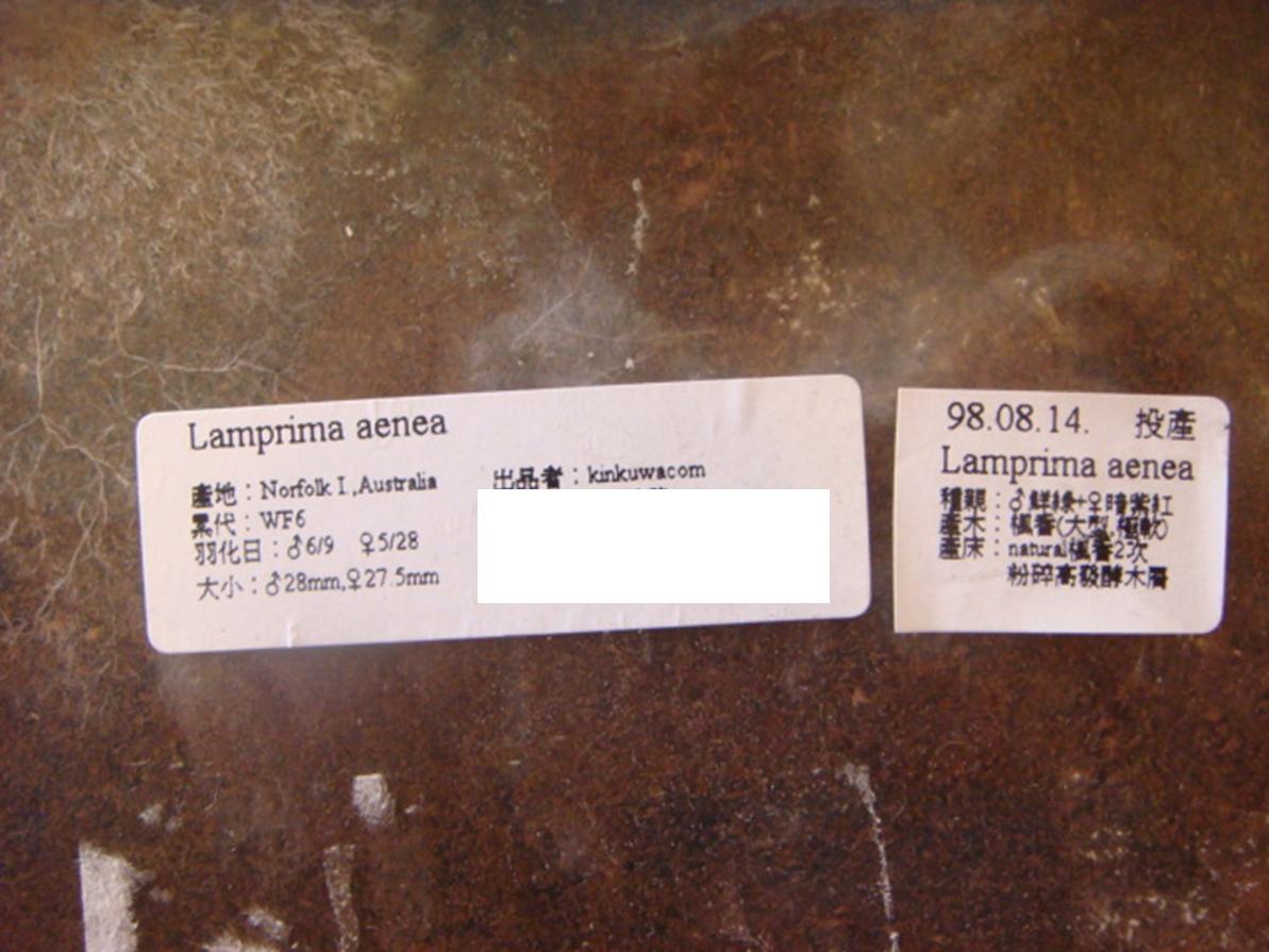 按此在新視窗瀏覽圖片