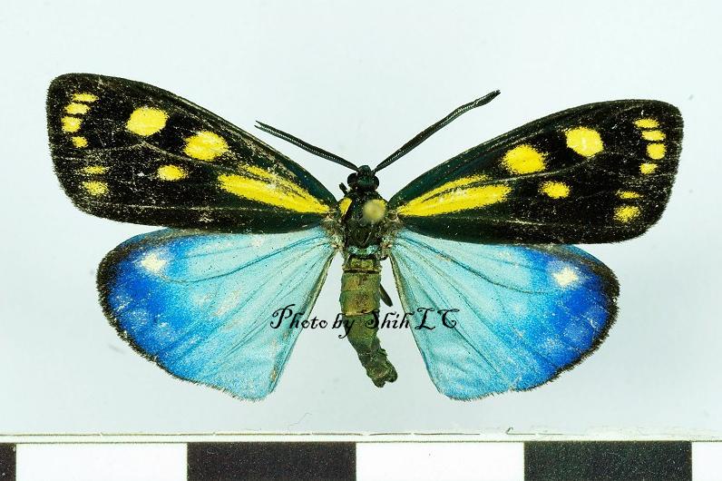 按此在新視窗瀏覽圖片