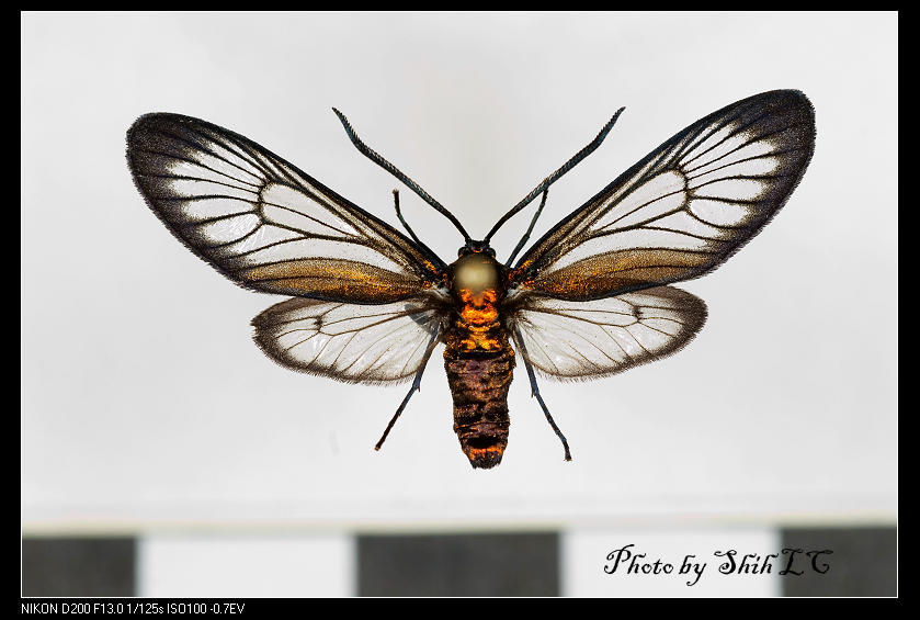 按此在新視窗瀏覽圖片