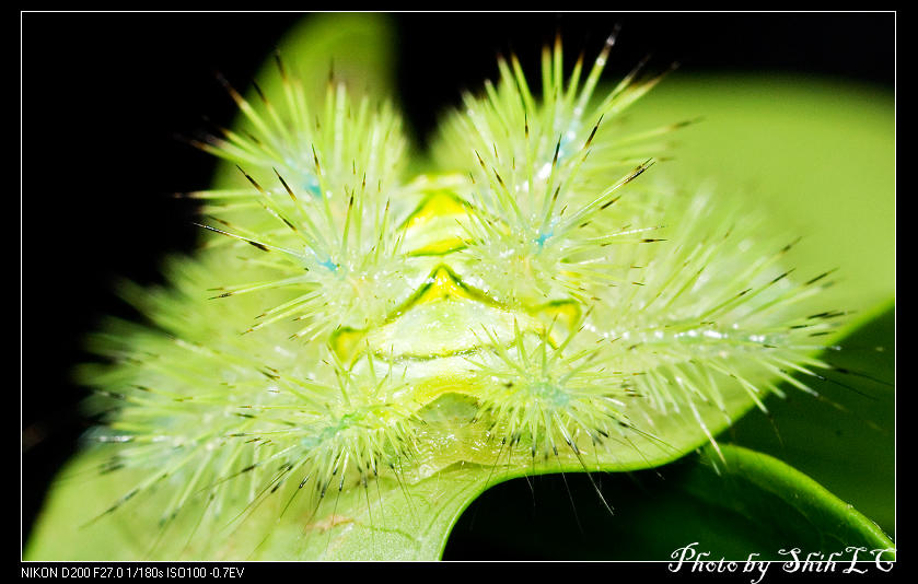 按此在新視窗瀏覽圖片