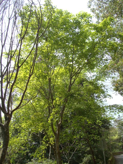 «ö¦¹¦b·sµøµ¡ÂsÄý¹Ï¤ù