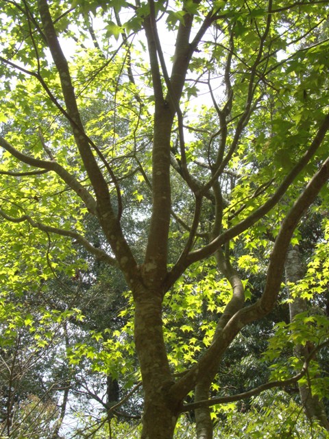 «ö¦¹¦b·sµøµ¡ÂsÄý¹Ï¤ù