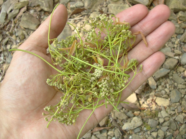 «ö¦¹¦b·sµøµ¡ÂsÄý¹Ï¤ù