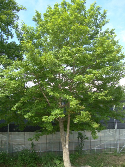 «ö¦¹¦b·sµøµ¡ÂsÄý¹Ï¤ù