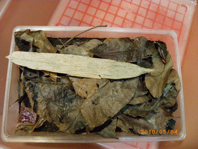 按此在新視窗瀏覽圖片