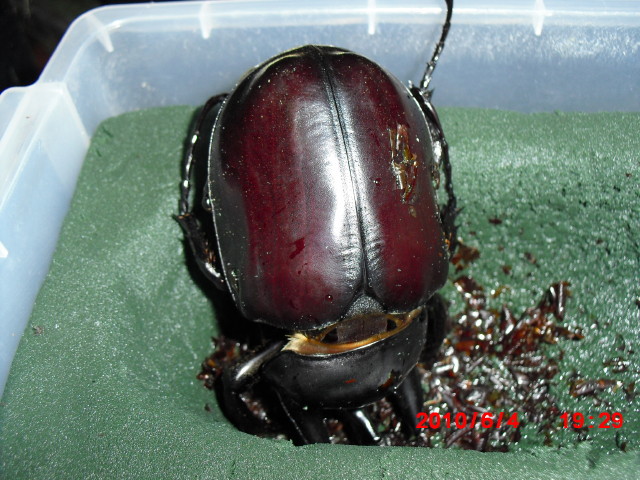 按此在新視窗瀏覽圖片